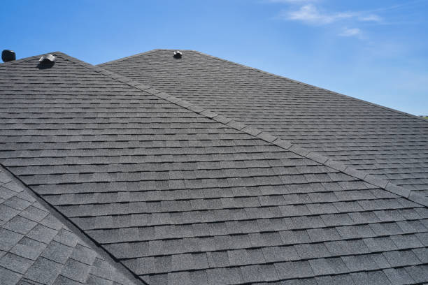 Best Roof Insulation Installation  in Isle Of Hope, GA
